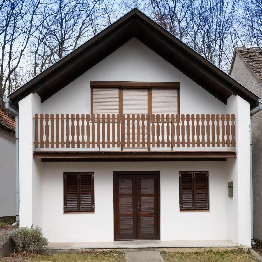 Menta Porta Apartment Zengővárkony Exterior foto